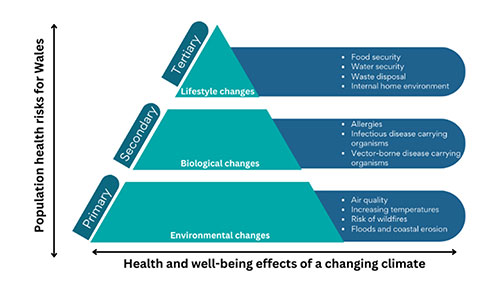 A Prevention Triangle of the Effects of a Changing Climate on Health and Well-being. The bottom segment details the primary risks, environmental changes including air quality, increasing temperatures, risks of wildfires and flooding and coastal erosion. The second segment is secondary risks of biological changes including allergies, infectious disease and vector borne carrying organisms. The top of the triangle is the tertiary risks of lifestyle changes including food and water security, waste disposal and internal home environment.