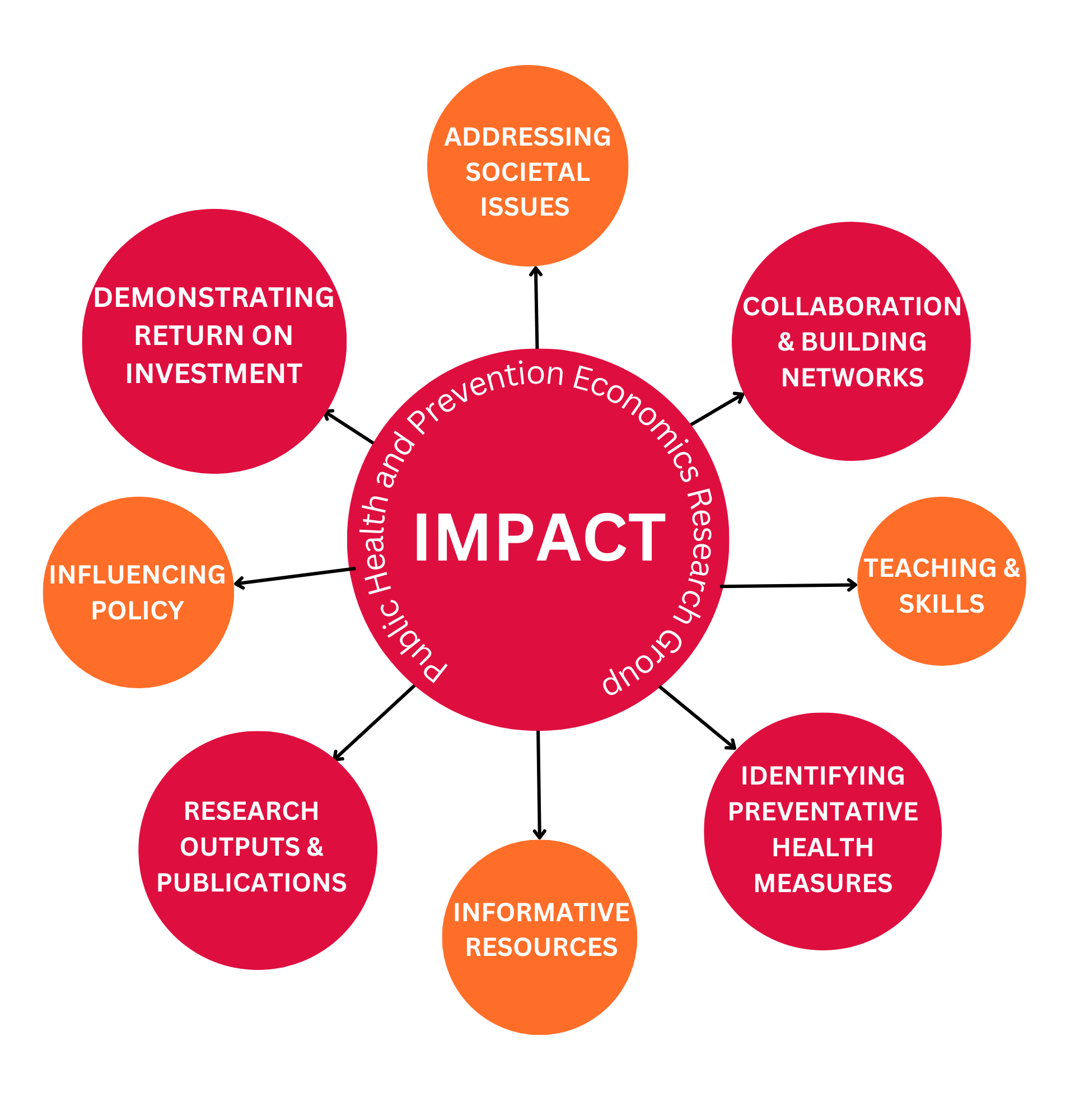  This is a spider graph demonstrating our impact. Categories include publications, influencing policy, teaching and informative resources, and identifying preventative health measures.